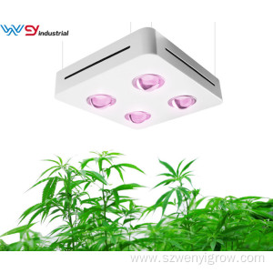 Best Cob LED Grow Light 400W